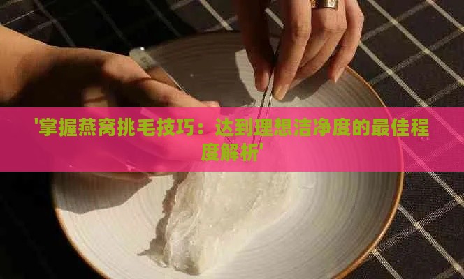 '掌握燕窝挑毛技巧：达到理想洁净度的更佳程度解析'