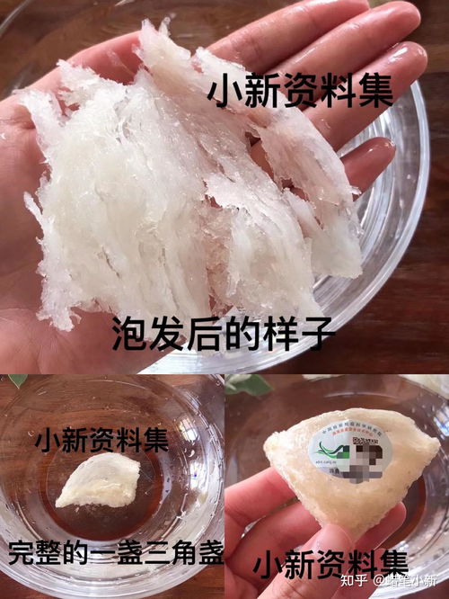 燕窝盒有哪些牌子好