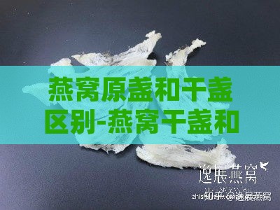 燕窝原盏和干盏区别-燕窝干盏和湿盏的价格区别