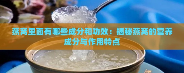 燕窝里面有哪些成分和功效：揭秘燕窝的营养成分与作用特点