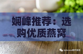 娴峰推荐：选购优质燕窝的更佳渠道与指南