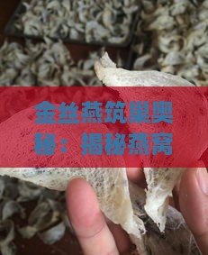 金丝燕筑巢奥秘：揭秘燕窝的来源与产地