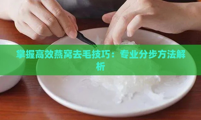 掌握高效燕窝去毛技巧：专业分步方法解析