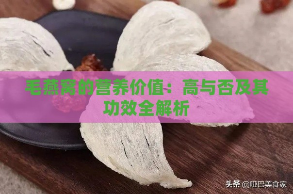 毛燕窝的营养价值：高与否及其功效全解析