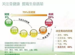 气血康和燕窝哪个好些：比较功效与适用人群