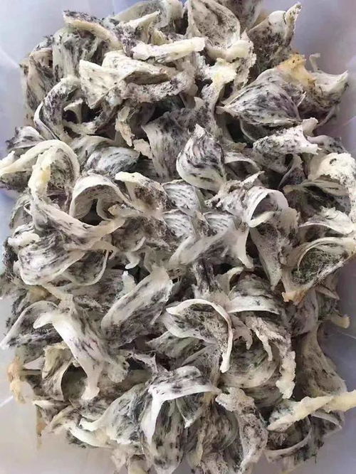 揭秘燕窝中一片片的是什么虫子及其对燕窝品质的影响