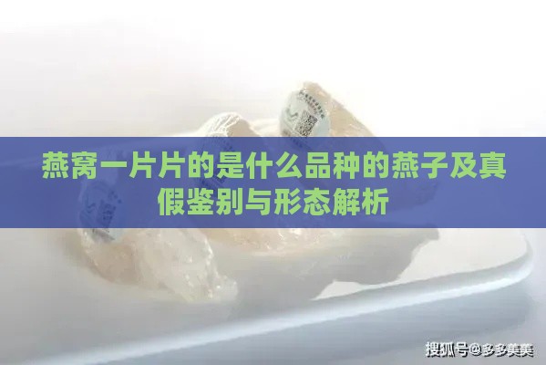 燕窝一片片的是什么品种的燕子及真假鉴别与形态解析