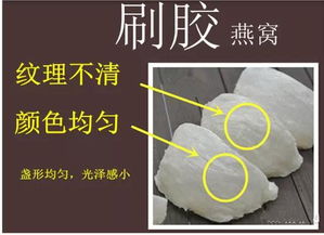 揭秘：燕窝市场真假辨析，一片片燕窝是否真的存在问题？