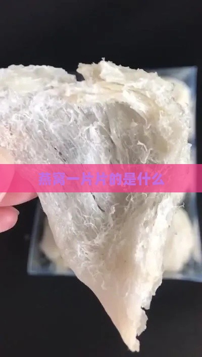 燕窝一片片的是什么