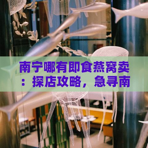 南宁哪有即食燕窝卖：探店攻略，急寻南宁即食燕窝销售点