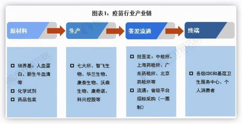 探究燕窝7a等级：品质、大小与价值差异解析