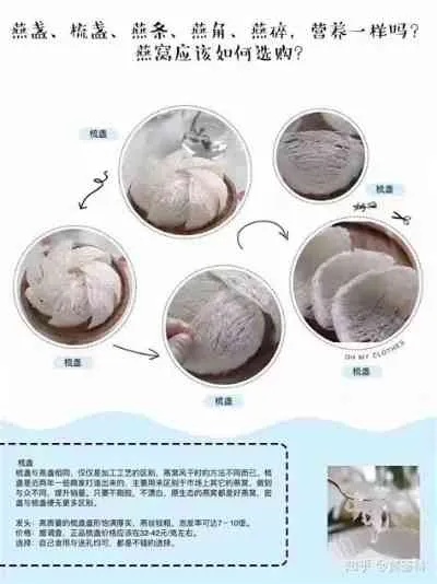 探究海燕窝价格：是否物有所值？