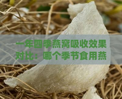 一年四季燕窝吸收效果对比：哪个季节食用燕窝更佳？