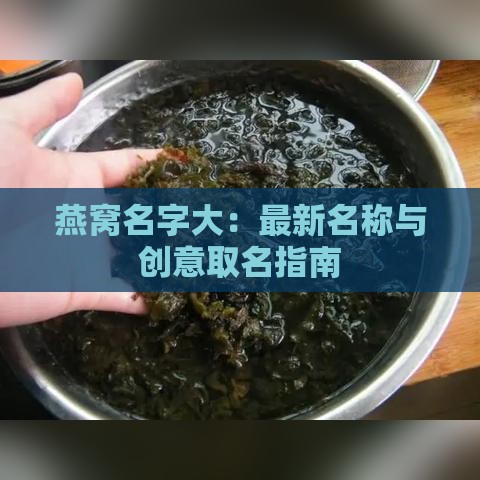 燕窝名字大：最新名称与创意取名指南