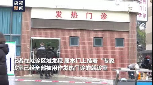 武汉燕窝专卖店一览：全市精选燕窝购买指南与地址汇总