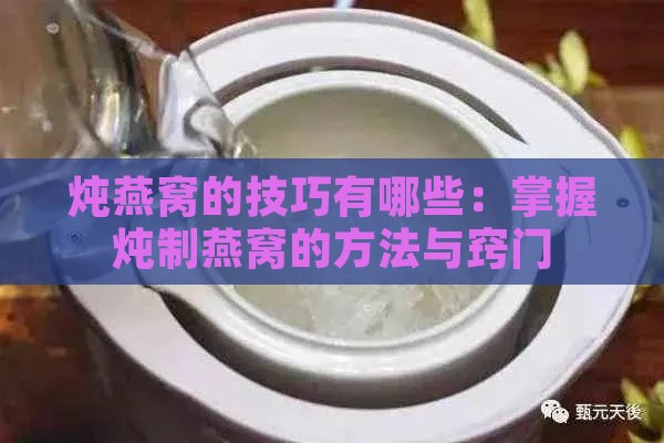 炖燕窝的技巧有哪些：掌握炖制燕窝的方法与窍门