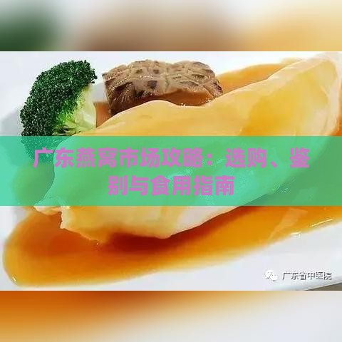 广东燕窝市场攻略：选购、鉴别与食用指南