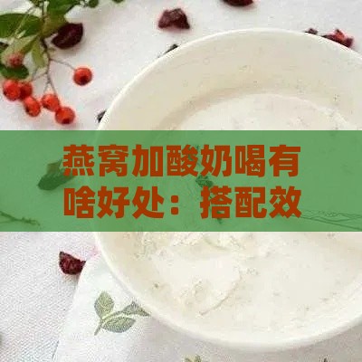 燕窝加酸奶喝有啥好处：搭配效果与影响解析