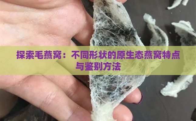 探索毛燕窝：不同形状的原生态燕窝特点与鉴别方法