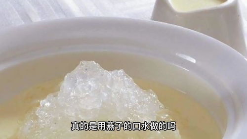 海燕窝的详细介绍：来源、制作过程、营养价值和食用方法