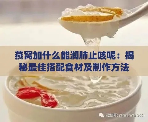 燕窝搭配食谱：润肺止咳炖品全攻略及适宜食材推荐