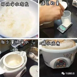 '精选推荐：燕窝炖品排行榜，品味高端滋养佳品'