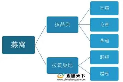 全面解析燕窝商城平台：功能特色、用户体验与购物指南一览