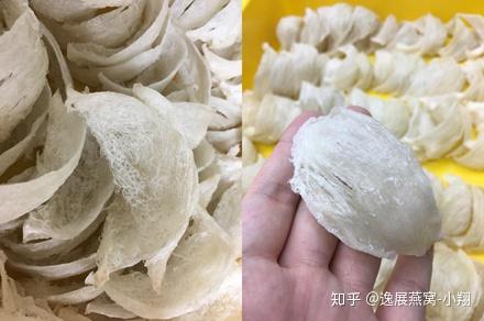 不同燕窝品种的营养价值对比分析