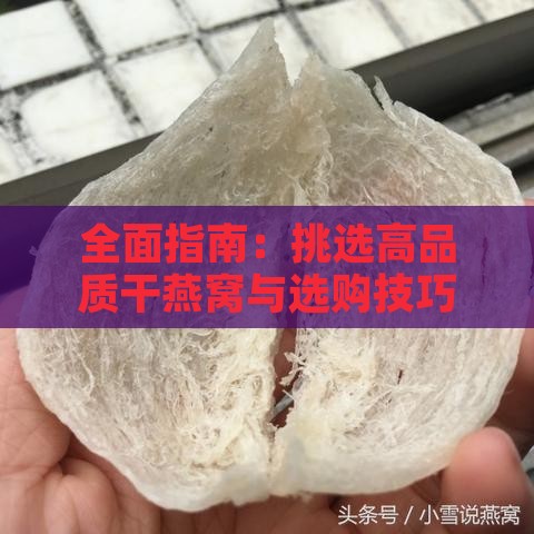 全面指南：挑选高品质干燕窝与选购技巧