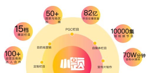 燕窝市场全景解析：主流入驻渠道及热门一览