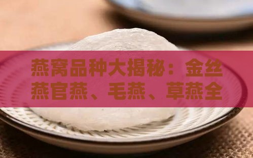 燕窝品种大揭秘：金丝燕官燕、毛燕、草燕全览