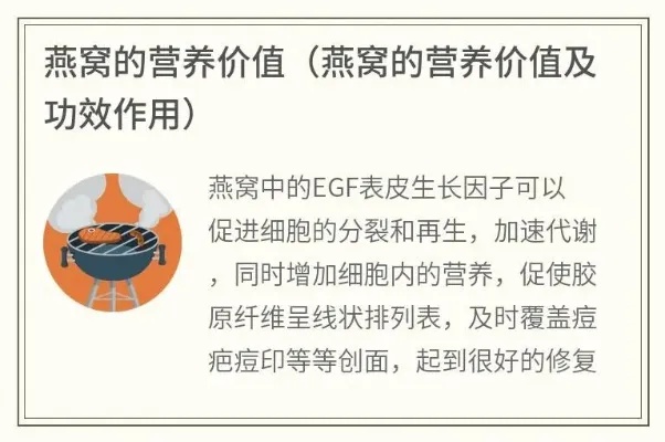 揭秘燕窝成分：全方位解析燕窝中含有的营养素与成分