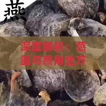 深度解析：燕盏与燕角全方位对比，燕窝不同形态的营养价值与选购指南