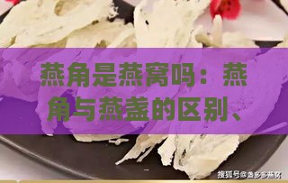 燕角是燕窝吗：燕角与燕盏的区别、营养价值及食用方法解析