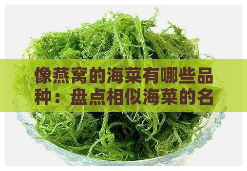 像燕窝的海菜有哪些品种：盘点相似海菜的名称与种类