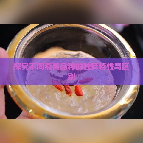 探究不同燕窝品种的独特特性与区别