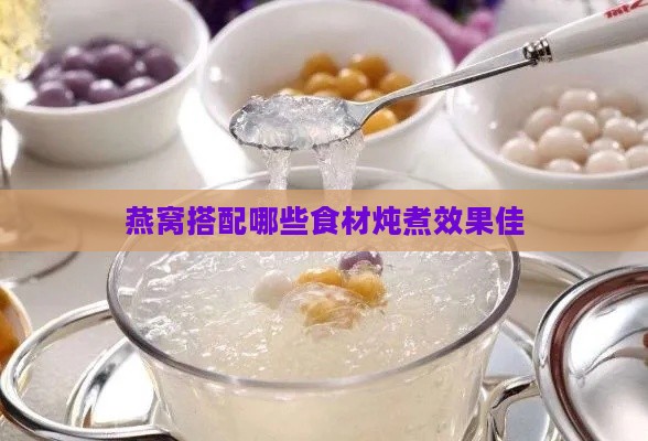 燕窝搭配哪些食材炖煮效果佳