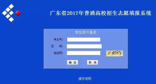 燕窝的更佳食用时机、频率及注意事项：全面指南解析