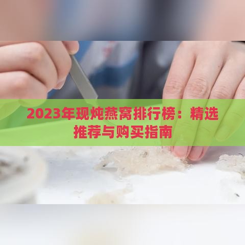 2023年现炖燕窝排行榜：精选推荐与购买指南