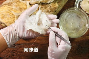 燕窝食用全攻略：揭秘燕窝选购、炖煮与保存的五大常见误区