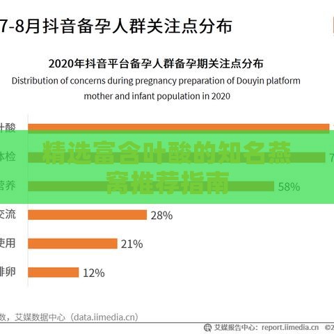 精选富含叶酸的知名燕窝推荐指南