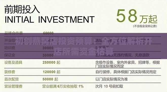 初创燕窝店投资预算：全方位解析开店所需资金估算