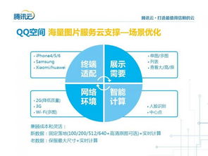 税盘燕窝归类解析：揭秘燕窝市场中的税务分类与产品细分化