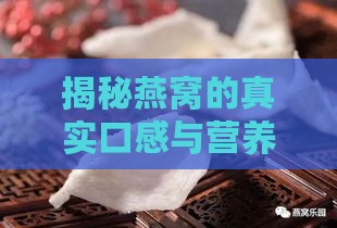 揭秘燕窝的真实口感与营养价值：你想知道的燕窝味道、食用方法及功效全解析