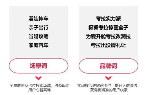 白兰氏燕窝对比分析：深度解析品质、营养与适用人群差异