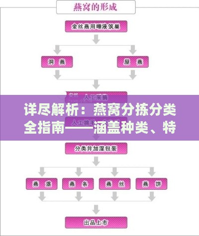 详尽解析：燕窝分拣分类全指南——涵盖种类、特点与选购技巧