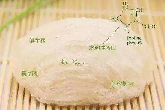 燕窝酸：全面解析其化学成分、营养价值与保健功效