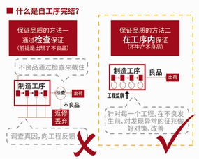 揭秘燕窝：多样化生产工艺类型探究与分类解析