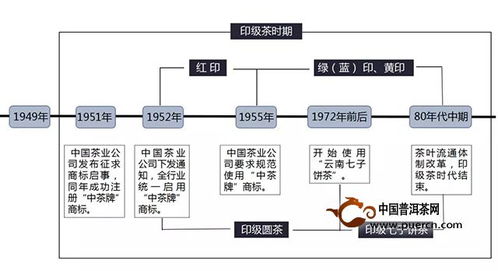 燕窝从采摘到加工：完整的生产与制作流程解析