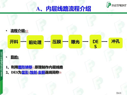 燕窝从采摘到加工：完整的生产与制作流程解析